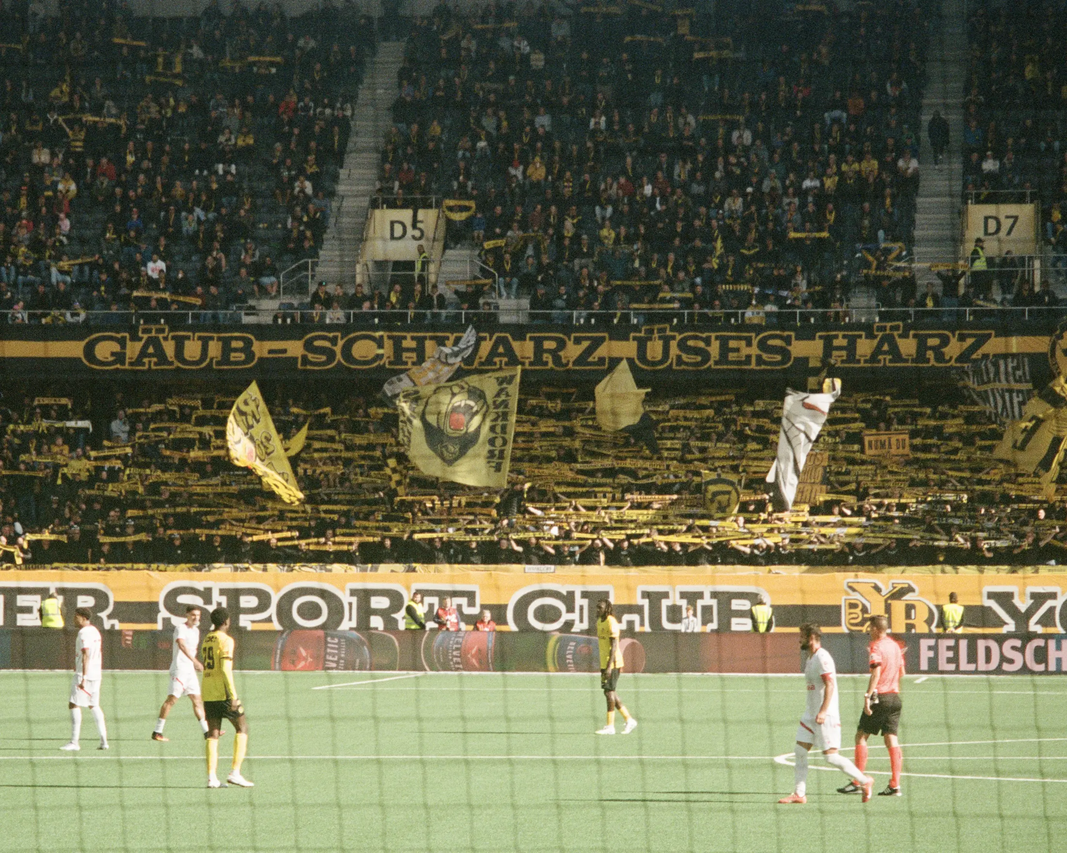 Gelb-schwarze Fankurve hinter dem Spielfeld
