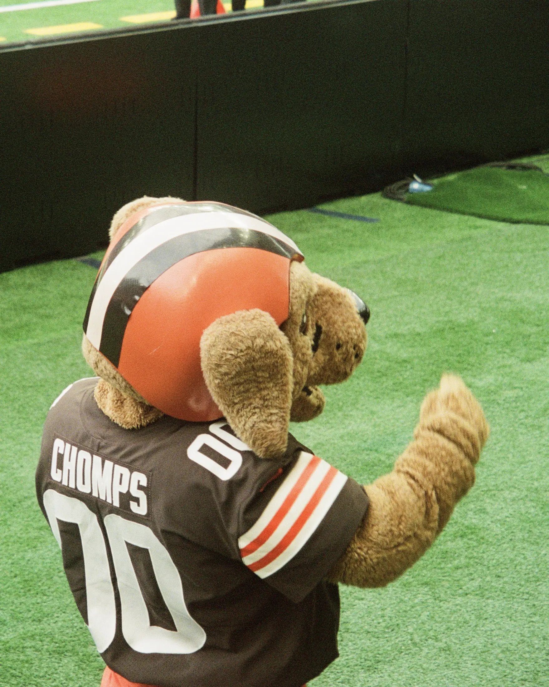 Cleveland Browns Maskottchen Chomps am Spielfeldrand